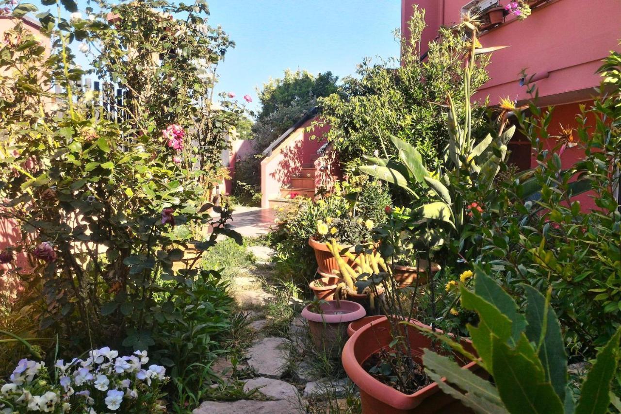 ساردارا Corona Bed & Breakfast المظهر الخارجي الصورة