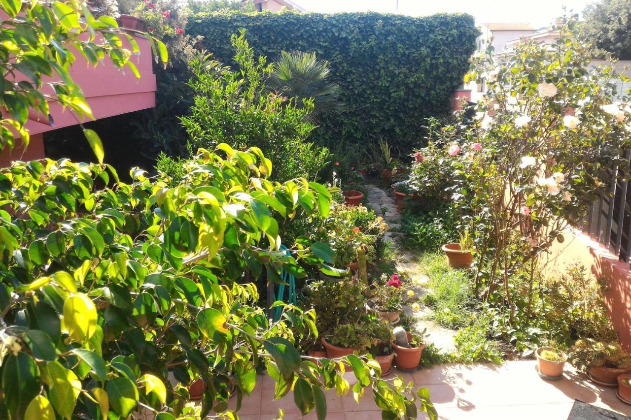 ساردارا Corona Bed & Breakfast المظهر الخارجي الصورة